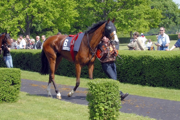 Neue Bult Mai09   049.jpg